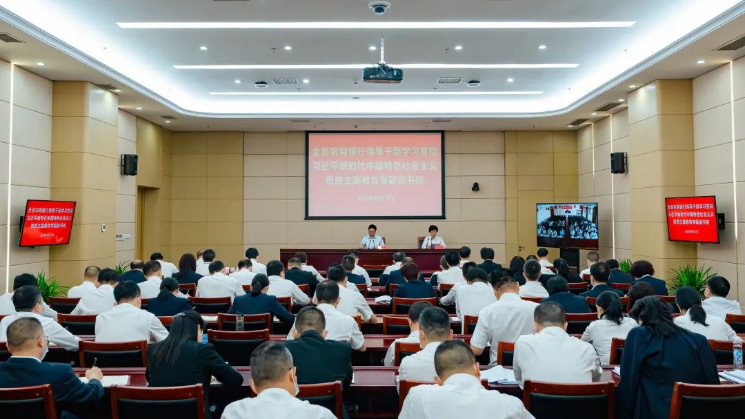 王东升：深化运用理论学习成果，把主题教育不断引向深入
