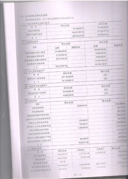 2017年审计报告